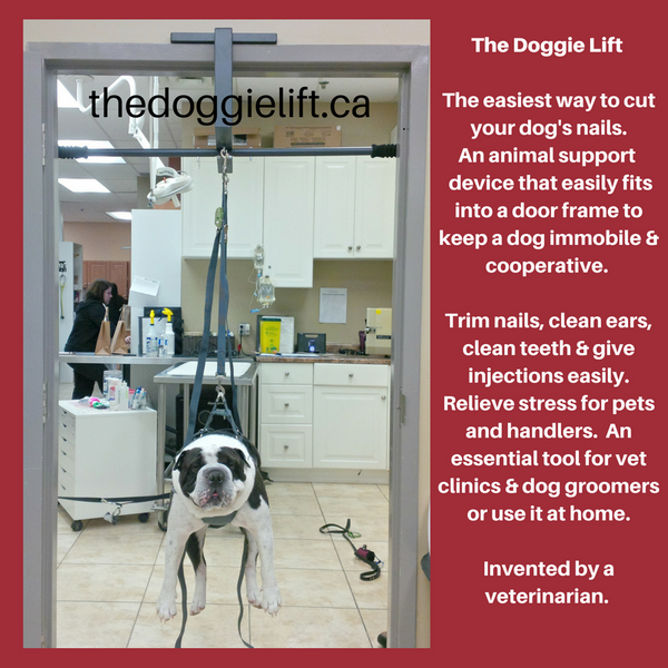 The doggie Lift is a device to safely lift your dog for easy nail trims and grooming, dog sling, dog grooming