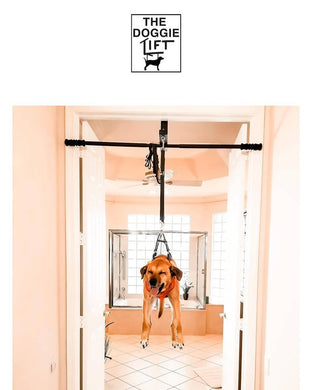 Doggie Lift bar - Sample sale